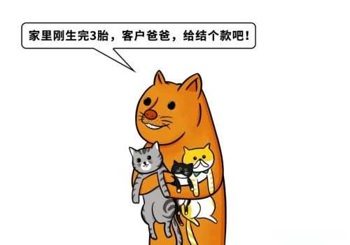 杭州要债公司：只有微信转账记录能把钱要回来吗